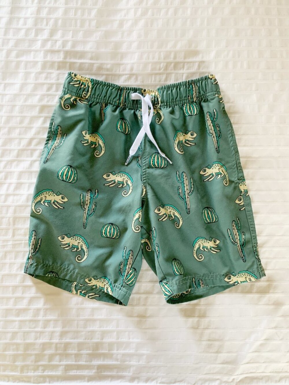 Maamgic Swim Trunks • Chameleons + Cacti • 8 Years